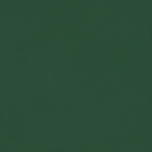 ALL OLIVE
