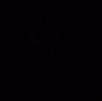 ALL BLACK